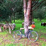 Doma Portugal 3* Mafra