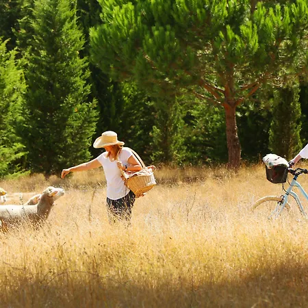 Doma Portugal 3* Mafra