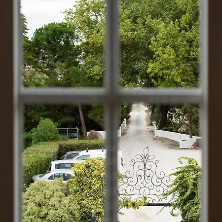 Doma Portugal Mafra